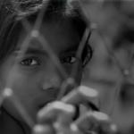 Reflecting on Eid: A Prayer for Peace and Strength for All